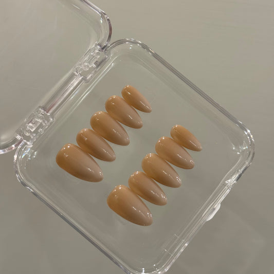 N227 Brown Ombre Nails