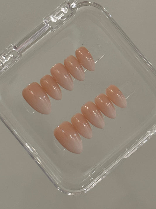 N172 Nude Ombre Set