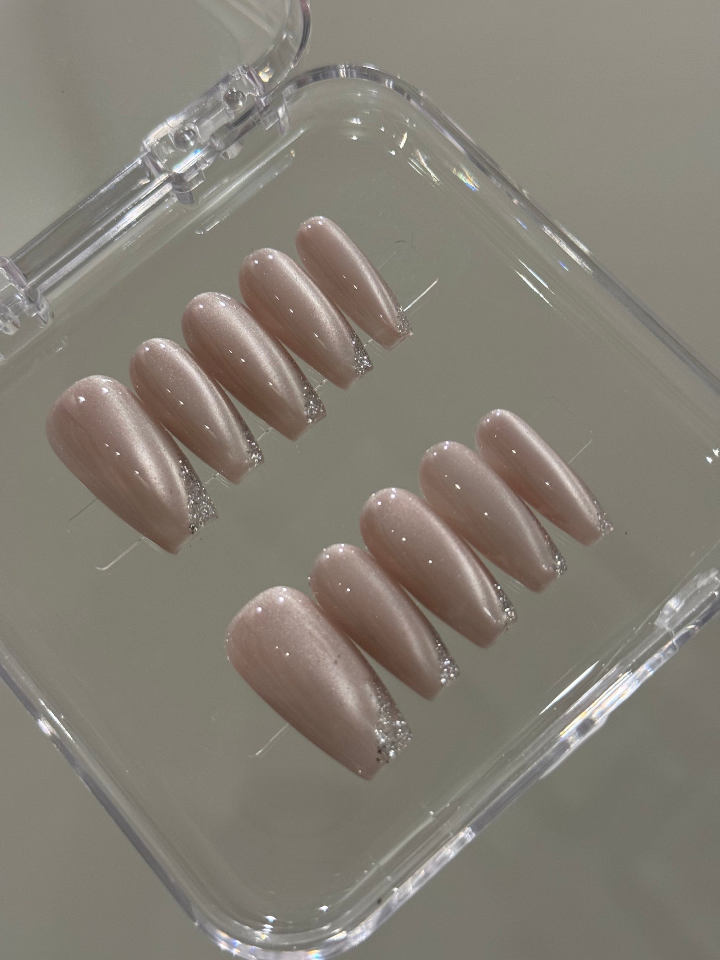 N343 Nude Long Nails